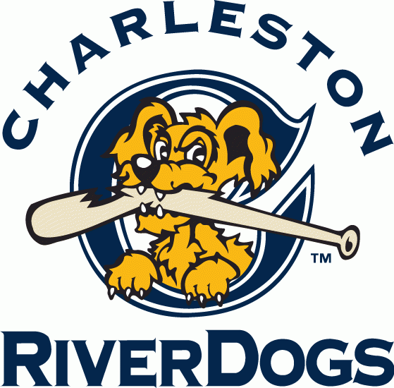 Charleston Riverdogs 2011-2015 Primary Logo iron on transfers for T-shirts
